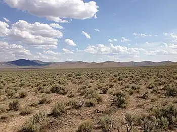 Sagebrush steppe in northeastern Nevada (U.S. Route 93)