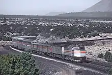 Tall silver coaches with scrub desert in the background