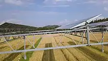 Solar module on a mounting system, mounted high over a wheat field
