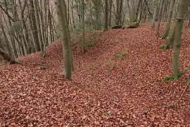 Probably the cellar pit of a castle building. Centre right: the L-shaped foundation wall remains (November&nbsp;2013)