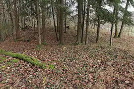 Image 9: N side of the site (Dec&nbsp;2014)