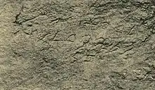 Photo of the graffito (Black and white image of ancient stone-carved symbols)
