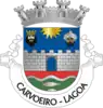 Coat of arms of Carvoeiro