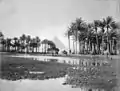Drinking place with camels, near the Pyramids of Gizah, 1870-1900