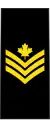 Petty officer 2nd class(French: Maître de 2e classe)(Royal Canadian Navy)