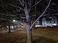 A bare tree with red ribbons and paper leaves attached