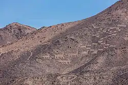 Cerros Pintados geoglyphs, Pampa del Tamarugal National Reserve