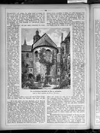 An illustration of the rose in the German journal Die Gartenlaube (The Garden Arbor), 1883, p.&nbsp;700