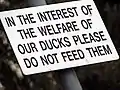 Sign telling citizens to not feed the ducks