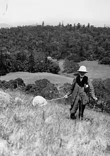 Alred jefferies Turner Bunya mountains 1925