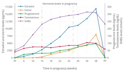 Levels of sex hormones and SHBG during pregnancy in women. The dashed vertical lines separate the trimesters. Determinations were via radioimmunoassay.