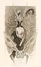 Sentimental Initiation (1887) heliogravure, Michael C. Carlos Museum, Emory University, Atlanta