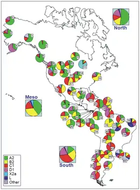 Codes for populations are as follow: North America: 1 = Chukchy, 2 = Eskimos; 3 = Inuit (collected from the HvrBase database; 4 = Aleuts; 5 = Athapaskan; 6 = Haida; 7 = Apache, 8 = Bella Coola; 9 = Navajo; 10 = Sioux, 11 = Chippewa, 12 = Nuu-Chah-Nult; 13 = Cheyenne; 14 = Muskogean populations; 15 = Cheyenne-Arapaho; 16 = Yakima; 17 = Stillwell Cherokee; Meso-America: 18 = Pima; 19 = Mexico; 20 = Quiche; 21 = Cuba; 22 = El Salvador; 23 = Huetar; 24 = Emberá; 25 = Kuna; 26 = Ngöbé; 27 = Wounan; South America: 28 = Guahibo; 29 = Yanomamo from Venezuela; 30 = Gaviao; 31 = Yanomamo from Venezuela and Brazil; 32 = Colombia; 33 = Ecuador (general population), 34 = Cayapa; 35 = Xavante; 36 = North Brazil; 37 = Brazil; 38 = Curiau; 39 = Zoró; 40 = Ignaciano, 41 = Yuracare; 42 = Ayoreo; 43 = Araucarians; 44 = Pehuenche, 45 = Mapuche from Chile; 46 = Coyas; 47 = Tacuarembó; 48 = Uruguay; 49 = Mapuches from Argentina; 50 = Yaghan
