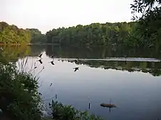The lake and parkland of Albert S Attick Lake Park