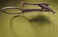 A headdress made of horn bill, shell, wire, rattan and hair