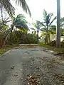 Hurricane Irma damage