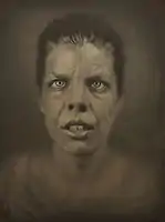 Zuzana 1848, 244 x 184&nbsp;cm 2012