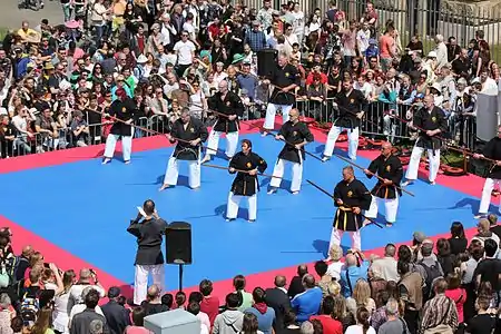 Martial arts show 2016