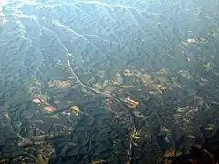 Ariel view of the AA Highway southern spur in Grayson County