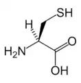 L-Cysteine(Cys / C)