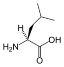 L-Leucine(Leu / L)