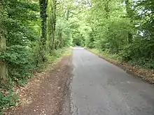 Little Hundridge Lane, 2010