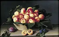 Basket of Apricots, 1634