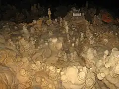 Valley of the Fallen Lords