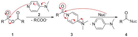 DMAP activates anhydrides towards nucleophilic substitution by creating a better leaving group.