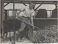 Isaac Menda working at the cowshed, 1935