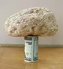 A 15-centimeter (5.9&nbsp;in) piece of pumice supported by a rolled-up U.S. 20-dollar bill demonstrates its very low density.