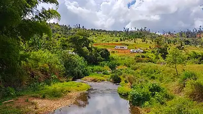Río Grande de Manatí from PR-802 bridge