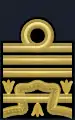 Shoulder insignia of a squadron admiral