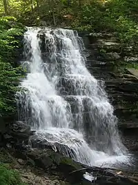 A large waterfall cascades down a near vertical rock face composed of many layers. Lush green vegetation surrounds the falls, with dappled sunlight at top.