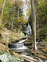 A front view of a tall cascade with a hiking trail visible to the left as it ascends the hillside beside the falls. A long fallen tree crosses the stream at the foot of the falls. Some of the fallen tree's limbs have been cut, as straight and equal cuts are visible. The trees are in various stages of autumn color and conifer saplings line the bank.