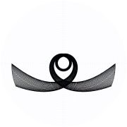 An orbit of the swinging Atwood's machine for 
  
    
      
        μ
        =
        21
      
    
    {\displaystyle \mu =21}
  
, 
  
    
      
        
          θ
          
            0
          
        
        =
        
          
            π
            2
          
        
      
    
    {\displaystyle \theta _{0}={\frac {\pi }{2}}}
  
, and zero initial velocity.