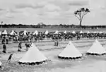 Encampment of soldiers and horses, c1899 (possibly a Boer War contingent)