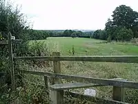 Near Crawley Down