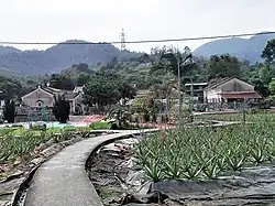 Sik Lo in Yeung Ka Tsuen.