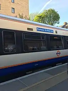 The Professor Sir Peter Hall Overground train