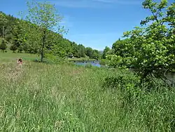 The south fork of the New River in Todd, NC