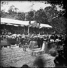 Crowd in front of Presidential reviewing stand